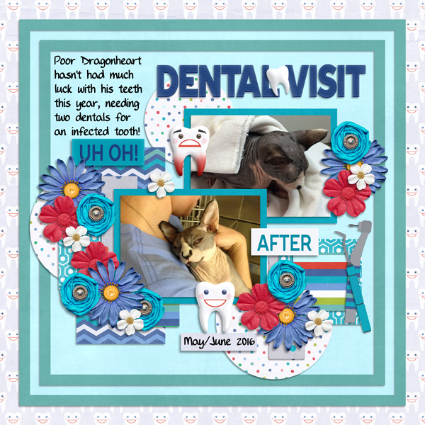Dental Visit