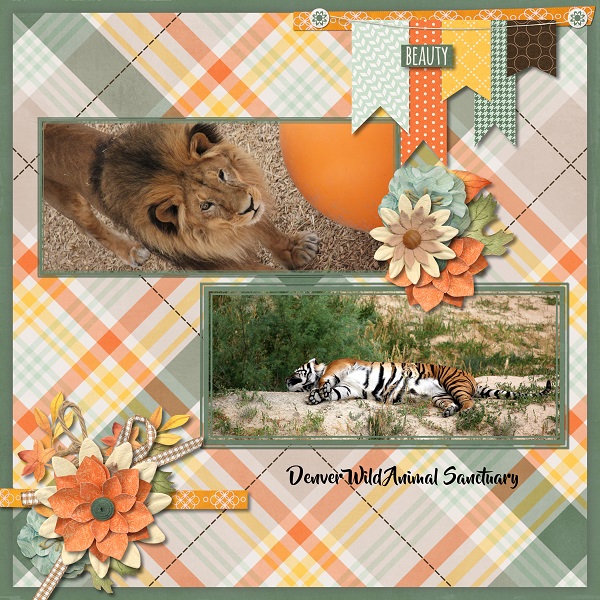 Denver Wild Animal Sanctuary