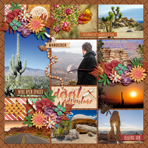 desert adventure