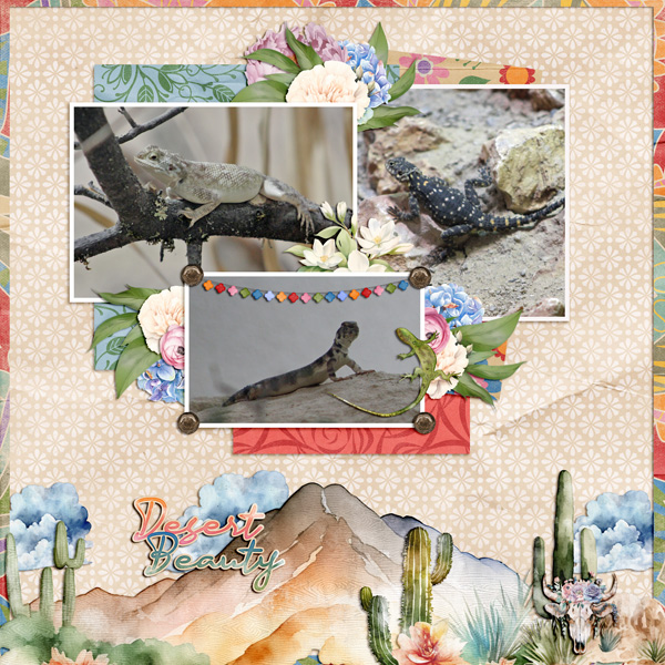desert beauties