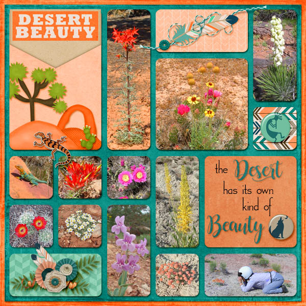 Desert Beauty