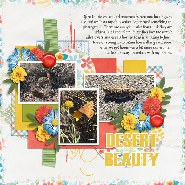 Desert Beauty