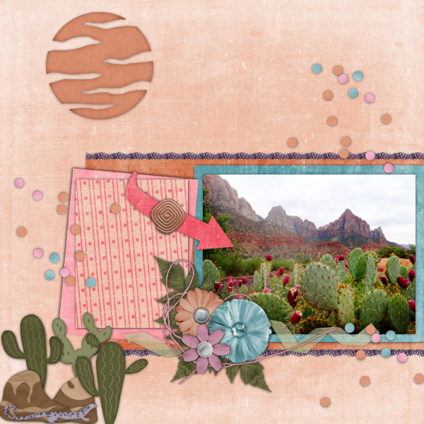 Desert Beauty