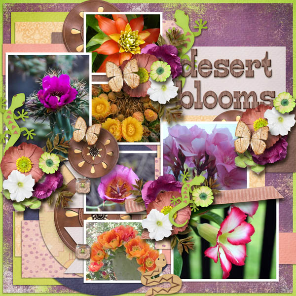 Desert Blooms