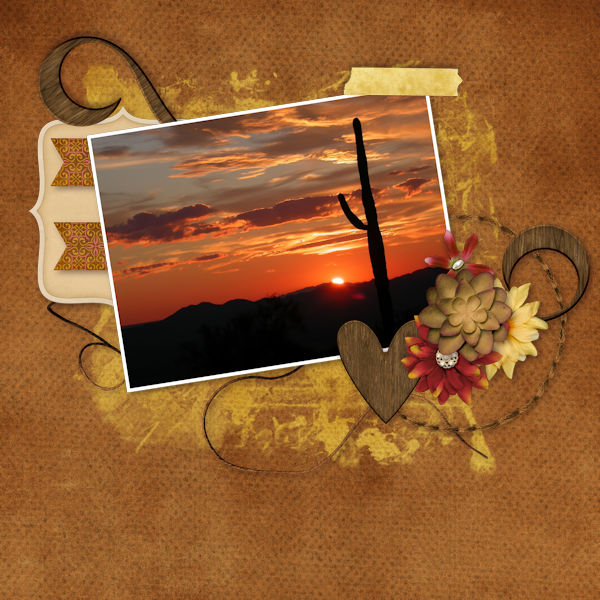 Desert Cactus