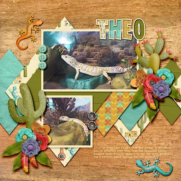Desert Southwest_Theo 2