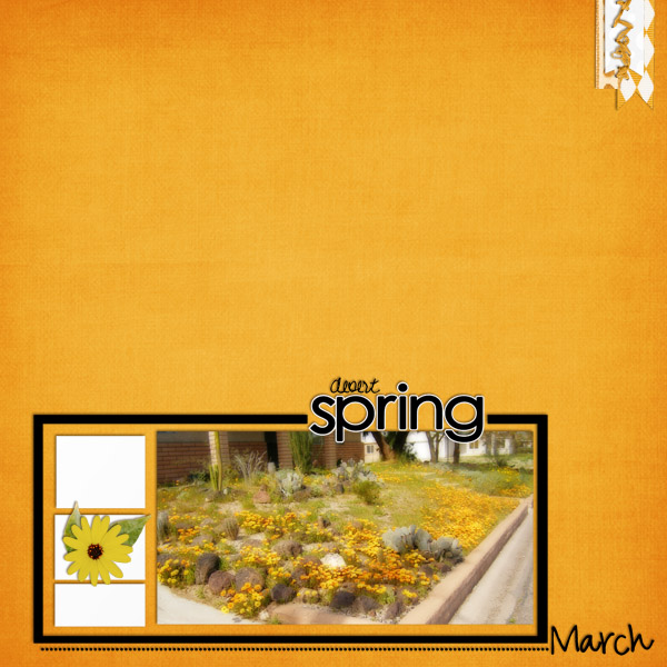 desert spring