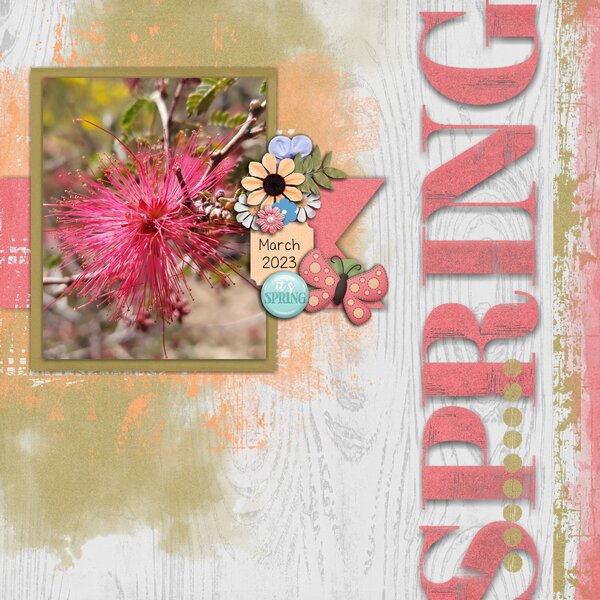 Desert Spring