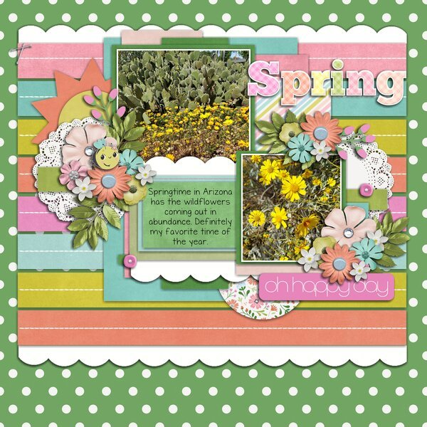 Desert Spring