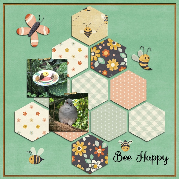 Designer Spotlight August