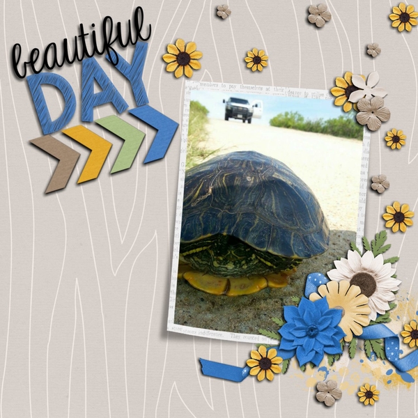Designer Spotlight Challenge Blue Heart Scraps/Luv Ewe