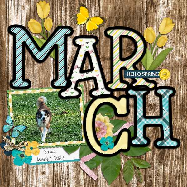 Designer Spotlight March