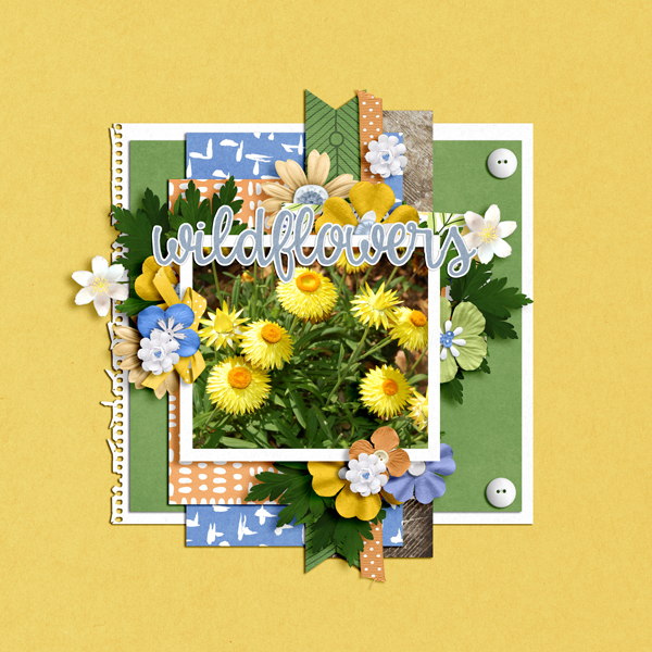 Designer-Spotlight-May-2019