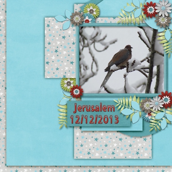 Designer_Spotlight_Challenge