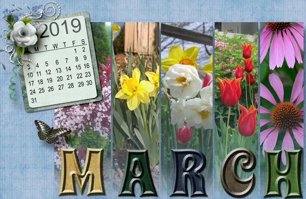 Desktop 2019 Feb Challenge