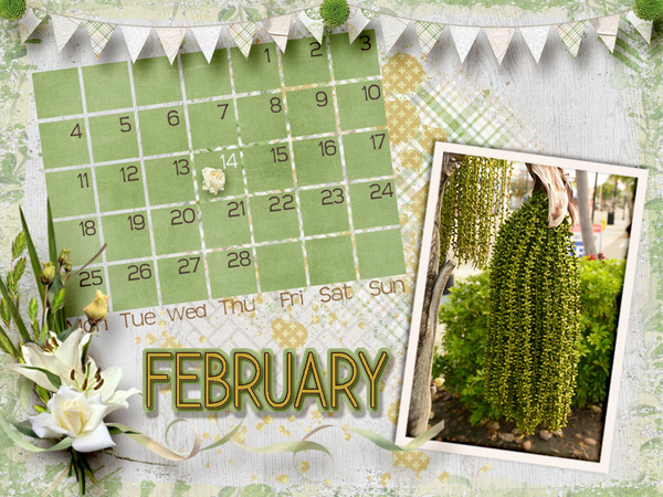 Desktop 2019 Jan Chal