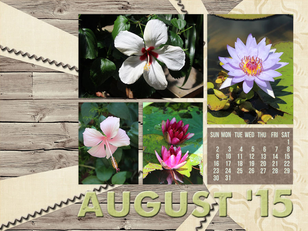 Desktop August 2015