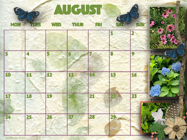 Desktop August 2020