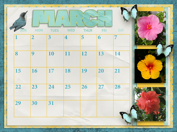 Desktop Challenge Feb 2020