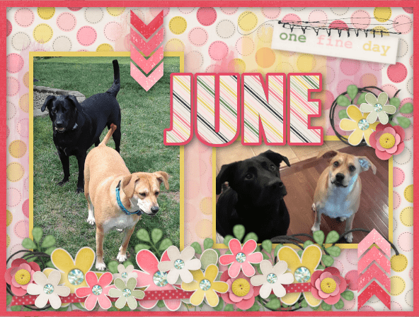 Desktop Challenge June 2019