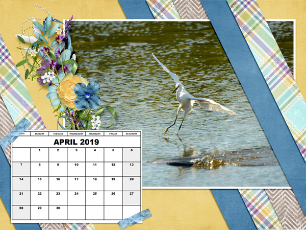Desktop Challenge Mar 2019