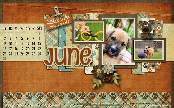 Desktop Challenge: May