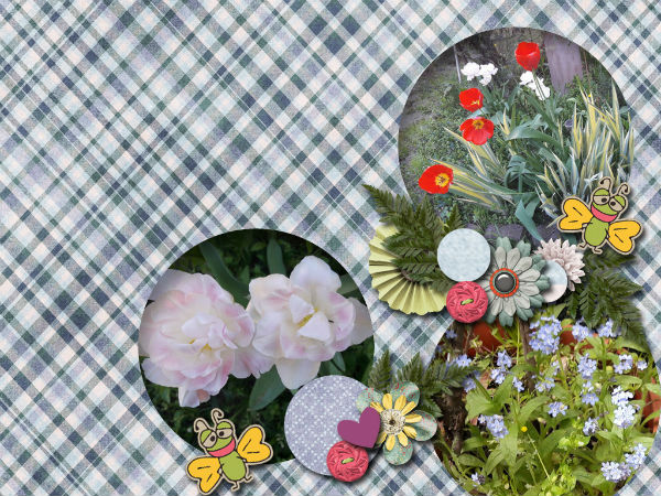 Desktop flowers