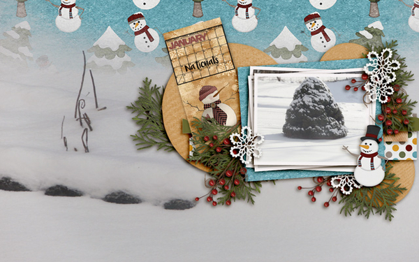 Desktop January 2016