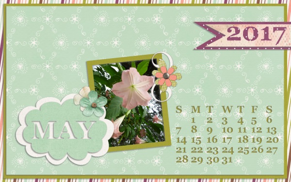 Desktop May-17