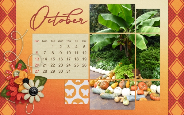 Desktop oct