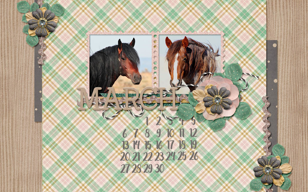 desktop0217