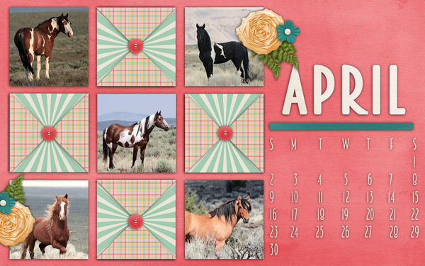 desktop0317