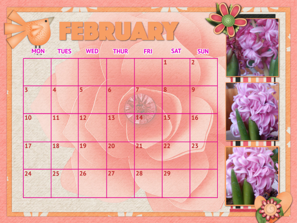 desktop20-02-small