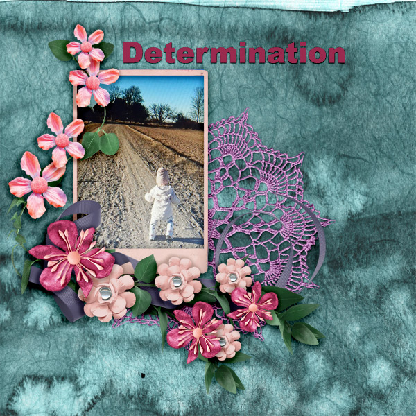Determination-mini1