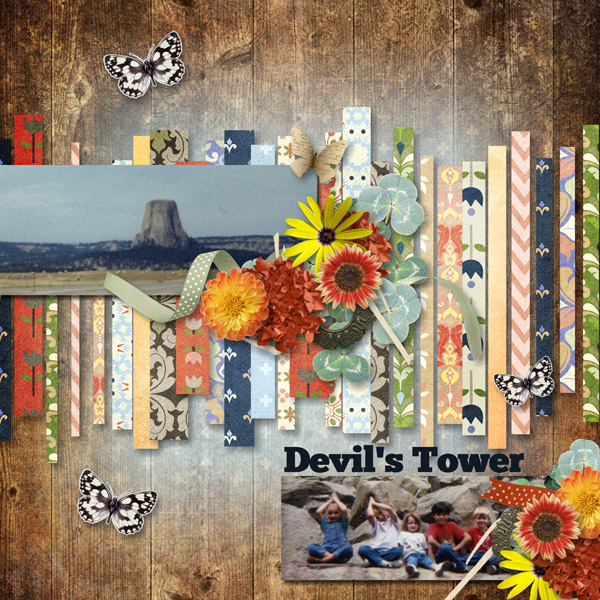Devils Tower