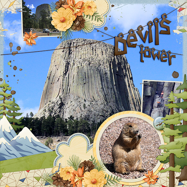Devils Tower