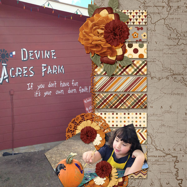 Devine Acres Fun