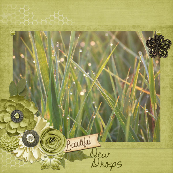 Dew Drops