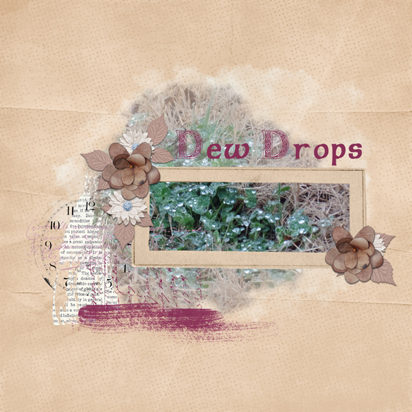 Dew Drops