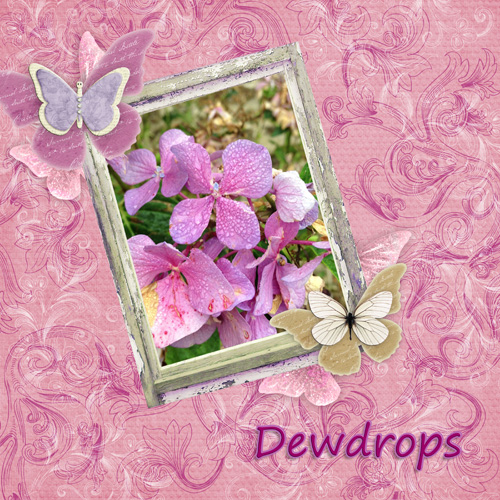 Dewdrops