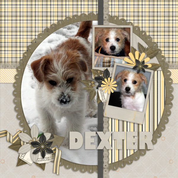Dexter