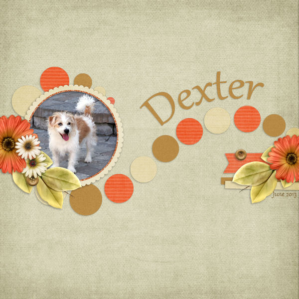 Dexter