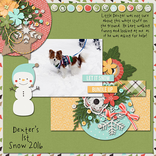 Dexter's First Snow
