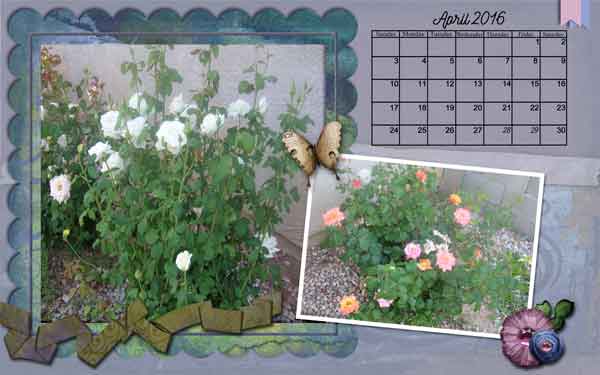 DFD_March2016_DesktopChallenge_1280x8002