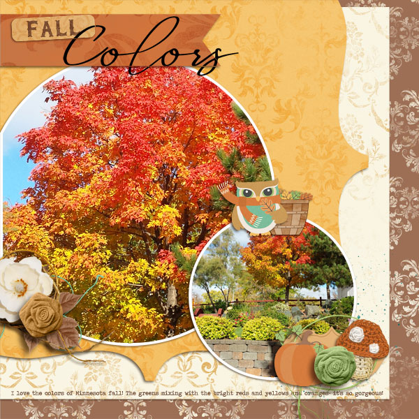 DFD_SoLittleTime2-tmd-fall-hoot