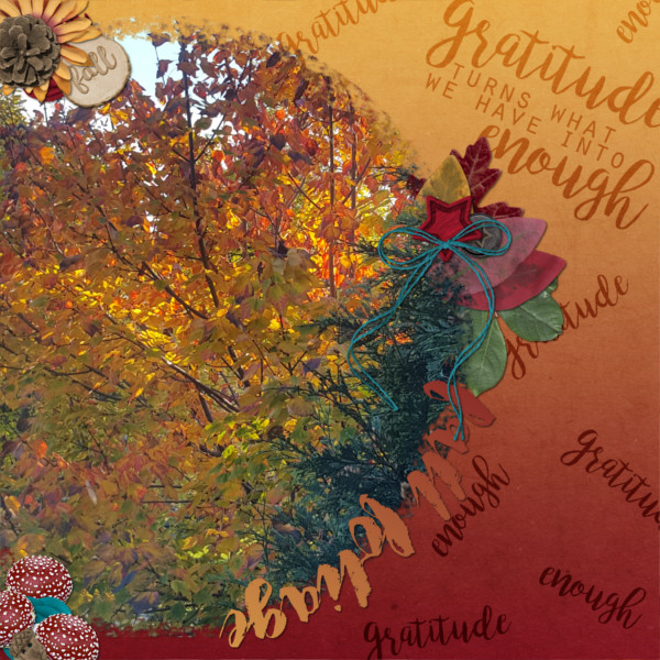 dfd_sweet16_1v1 2017-10-11 fall foliage
