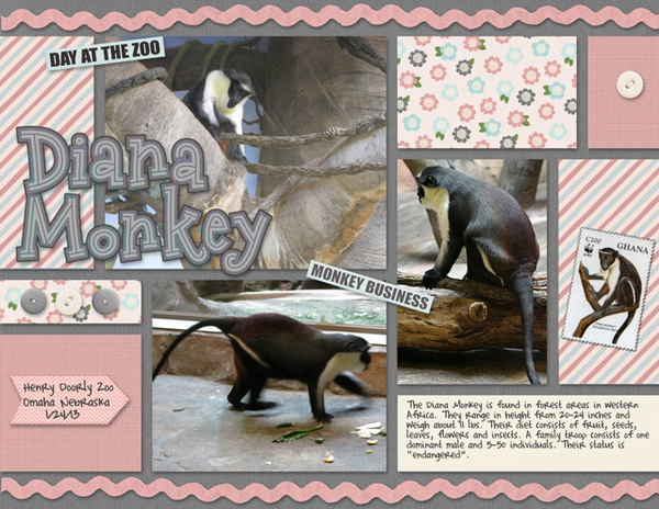Diana Monkey