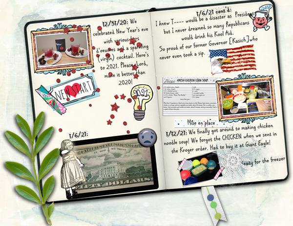 Diary of a New Year