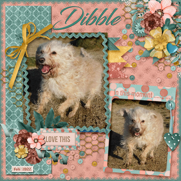 Dibble in motion