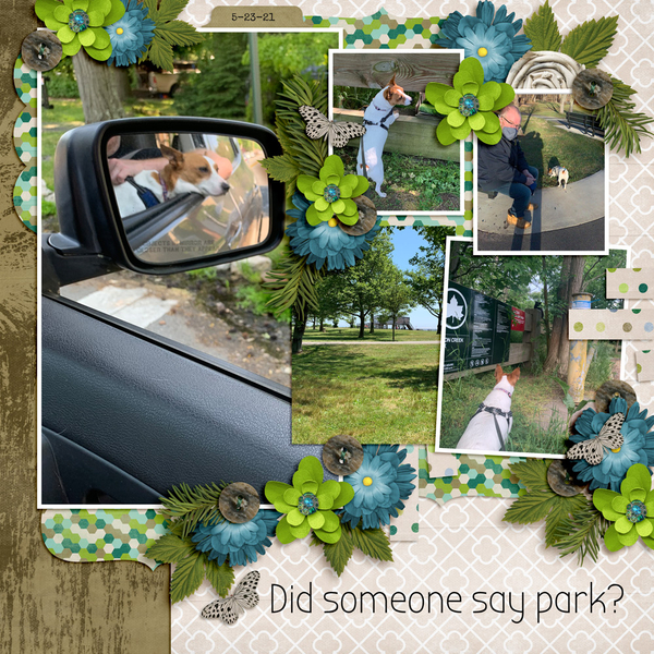 Did someone say park?